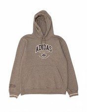 ADIDAS Herren Graphic Hoodie