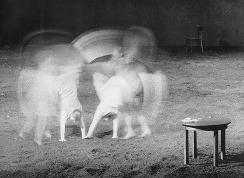 Pina bauschs tanztheater - pina,