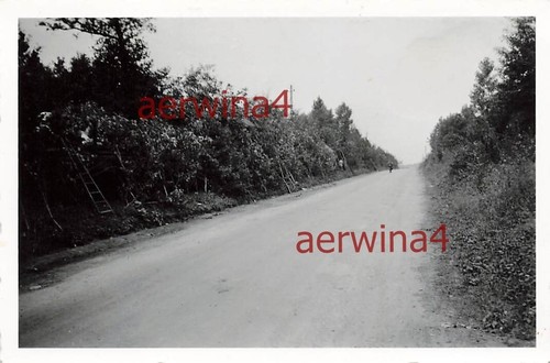 Getarntes eisenbahngeschütz - getarntes,