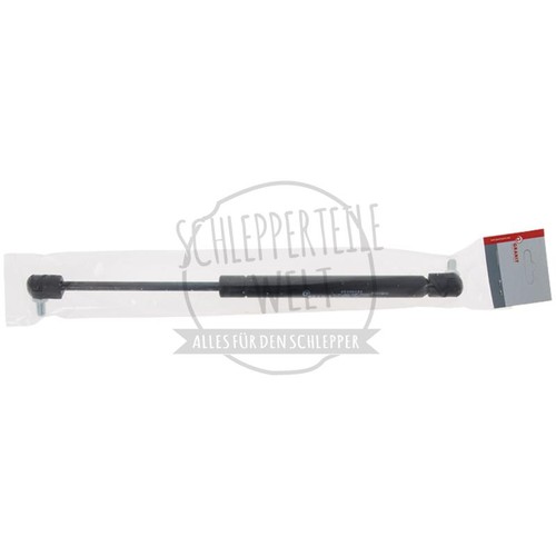 Gasdruckdämpfer frontscheibe - gasdruckdämpfer,
