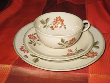 Gedeck Hutschenreuther Juwel US Zone und Zusatzteile