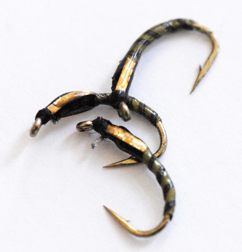 Trout buzzers gold holographic - trout,