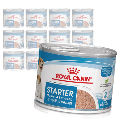 Royal canin starter mousse - royal,