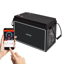 12V 150Ah LiFePO4 Akku BMS +