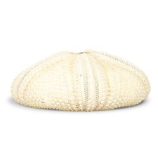 NaDeco Seeigel Gehäuse