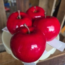 4 x Äpfel Rot Glanz 5,5 cm