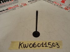 Auslassventil Valve Exhaust