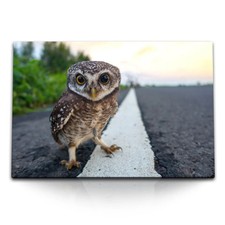 120x80cm Wandbild auf Leinwand