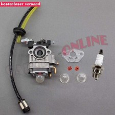 Vergaser & Schlauch für AL-KO