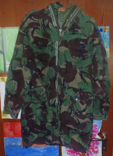 Parka mans cold weather - mans,