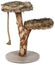 Designed by Lotte Aviva Kratzbaum Kratzmöbel Krallenwetzen Spielbaum 1671087