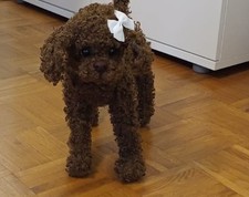 Lebensecht, handgefertigter