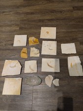 🔥Komplette Sammlung