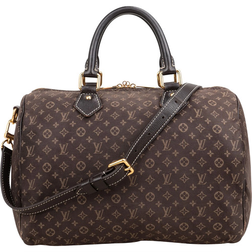 Louis vuitton monogram - monogram, mini