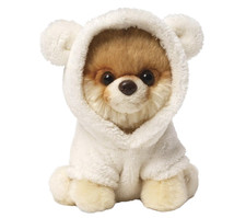 Boo der süßeste Hund der