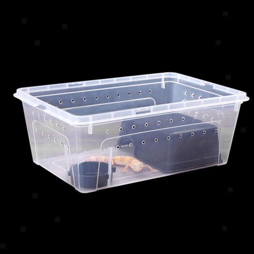 Reptilienzuchtbox