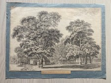 Bleistiftzeichnung "Der alte