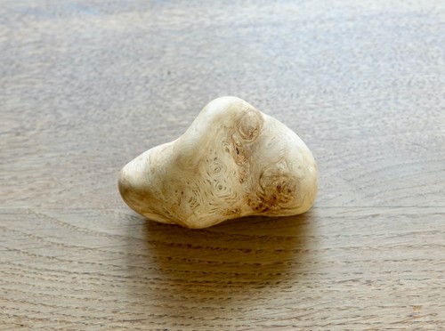 Baumperle hexenei druidenei - baumperle,,