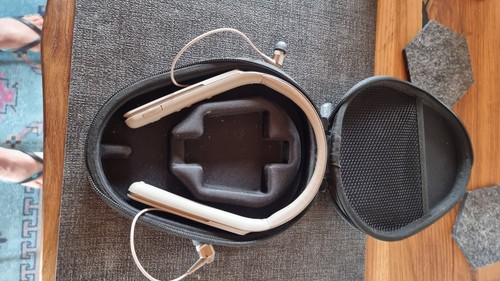 Sony 1000x true wireless - wi-1000x,