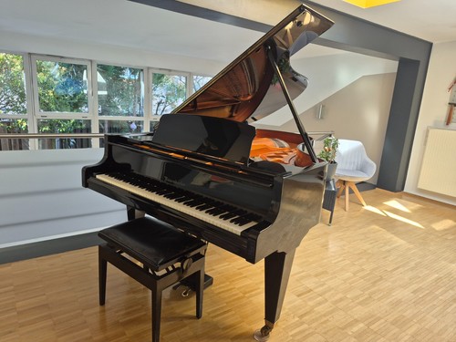 Bösendorfer flügel 200 bj - flügel,
