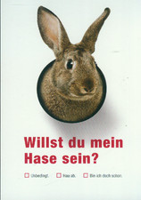 Kino Flyer Willst Du Mein Hase