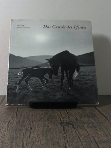 Das gesicht des pferdes - das,