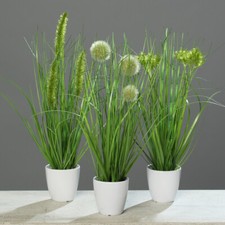 mucplants Kunstpflanze Gras im