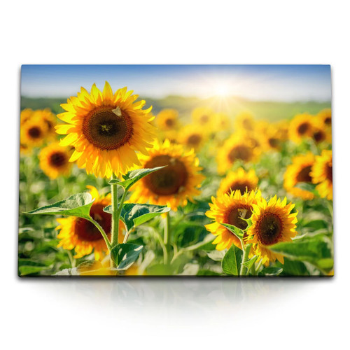 120x80cm wandbild auf leinwand - 120x80cm,