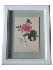 IKEA Gerahmtes Bild Blumenmuster Natur Holz Glas 38x48cm Mehrfarbig