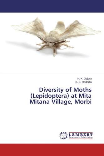 Gajera - n., (u.