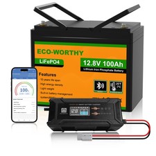 12.8V 100Ah LiFePO4 Bluetooth