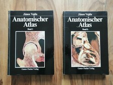 Vajda, Janos: Anatomischer