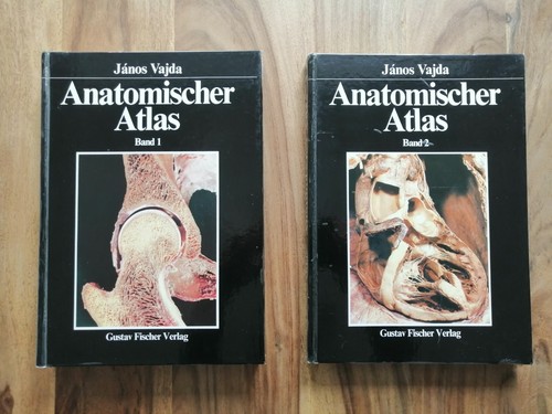 Vajda janos anatomischer - janos:,