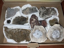 1 Box international 11 Stücke