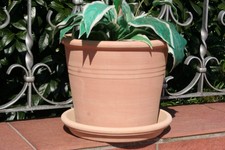 Tontopf Terrakotta pflanztopf