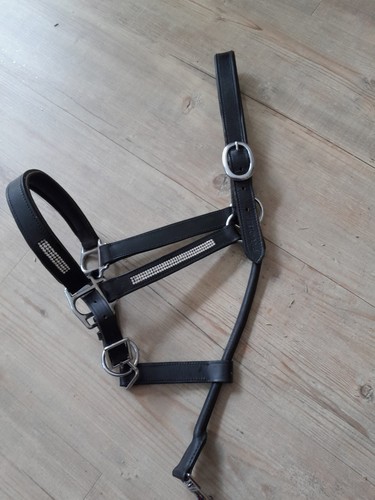 Lederhalfter schwarz mit