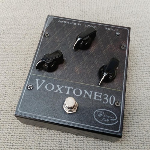 Baroni lab voxtone30 - baroni,
