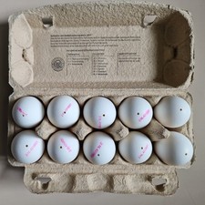 50  Echte ausgeblasene Hühnereier weiße Eier Ostern Bastelei nur 1- Loch, Top !!