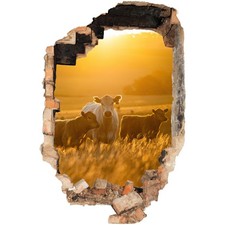 Dekorfolie für Glatte