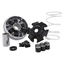 Variomatik Malossi Multivar