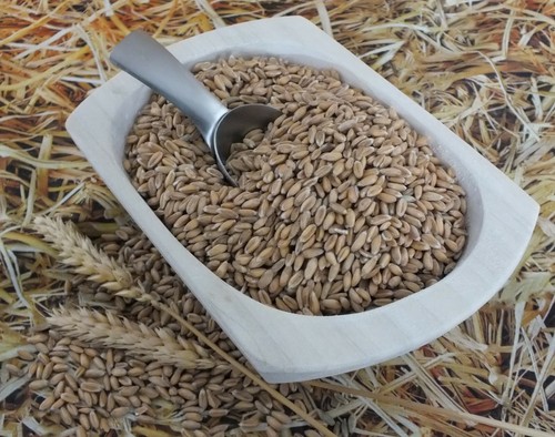 Dinkel 5kg dinkelkörner - dinkel, 2,5kg