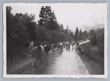 Landstraße zwischen