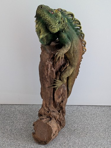 Realistische leguan eidechse - realistische,