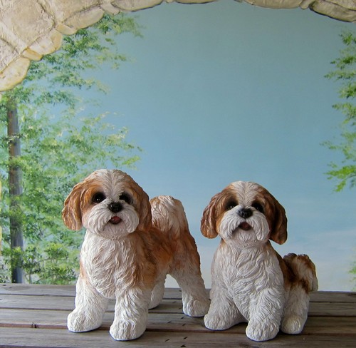 Shih tzu figur hund - tzu, deko