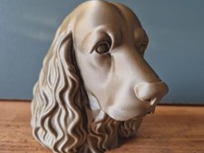 Cocker Spaniel Büste /