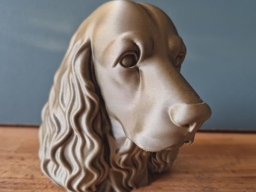 Cocker spaniel büste - cocker,