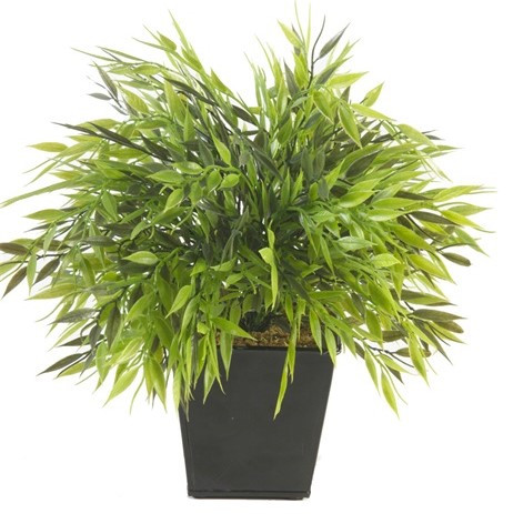 Künstlicher bambus bamboo im - bamboo,