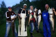 Angeltour Norwegen Pilker Multirolle Schleppblei Shad Stationärrolle Gaff