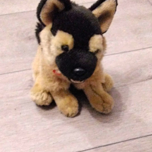 Stoff plüschtier hund in - stoff-,