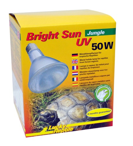 Lucky reptile bright sun - lucky,
